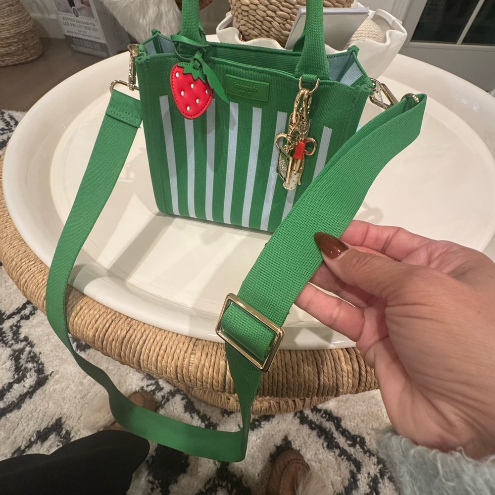 Kate Spade/ Target collab Green and light blue Striped Tote+ Charms - Picture 4 of 13